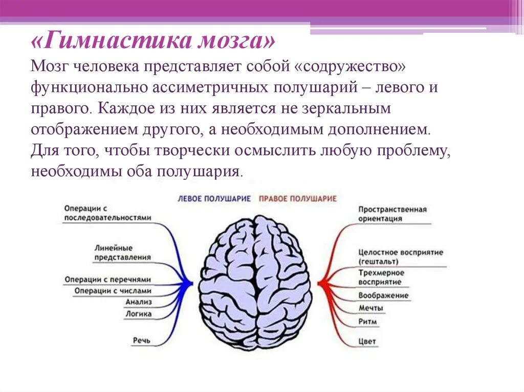 Межполушарная асимметрия. Тренировка полушарий головного мозга. Асимметрия полушарий головного мозга. Упражнения для активизации мозга.