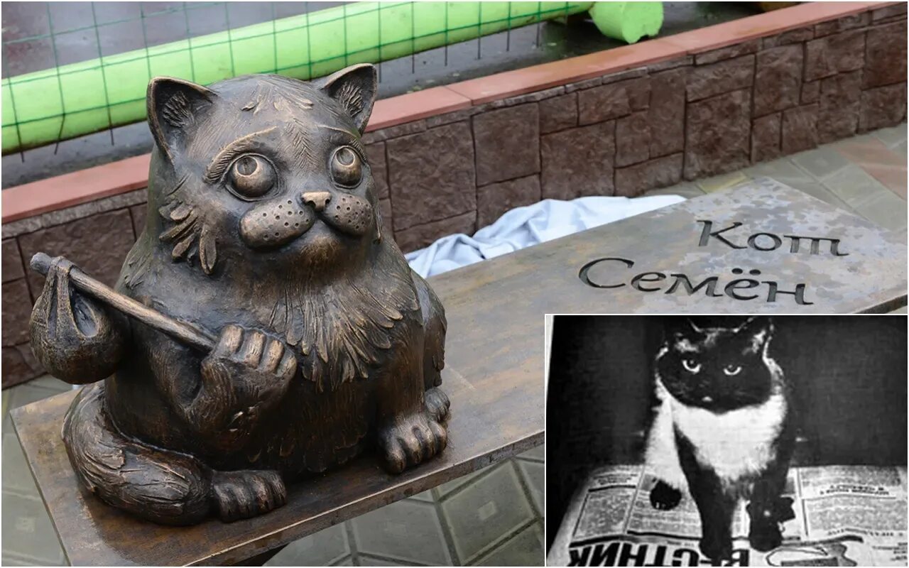 Кот из мурманска история. Памятник коту в мурманске. кот семён мурманск история. кот семён мурманск. памятник коту семену.