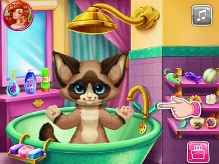 Игра с киской
