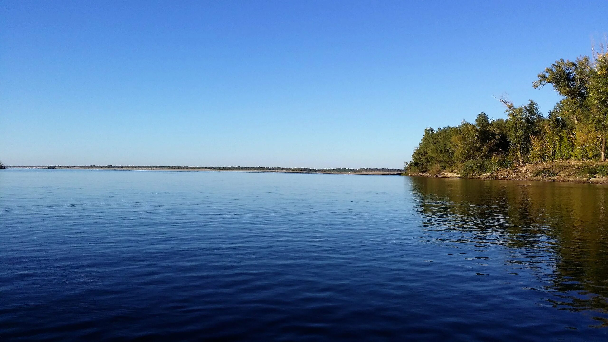 Вода в реке волга в самаре. Река Волга Самара. Река Волга Приволжье. Астрахань лето Волга. Астраханская река Волга.