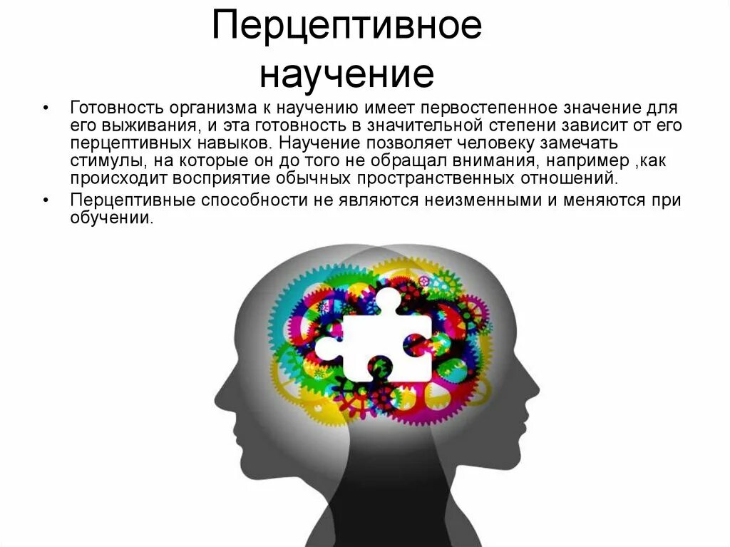 Навыки научение. Восриятиев психологии. Восприятие в психологии. Перцептивные возможности это. Восприятие психический процесс.