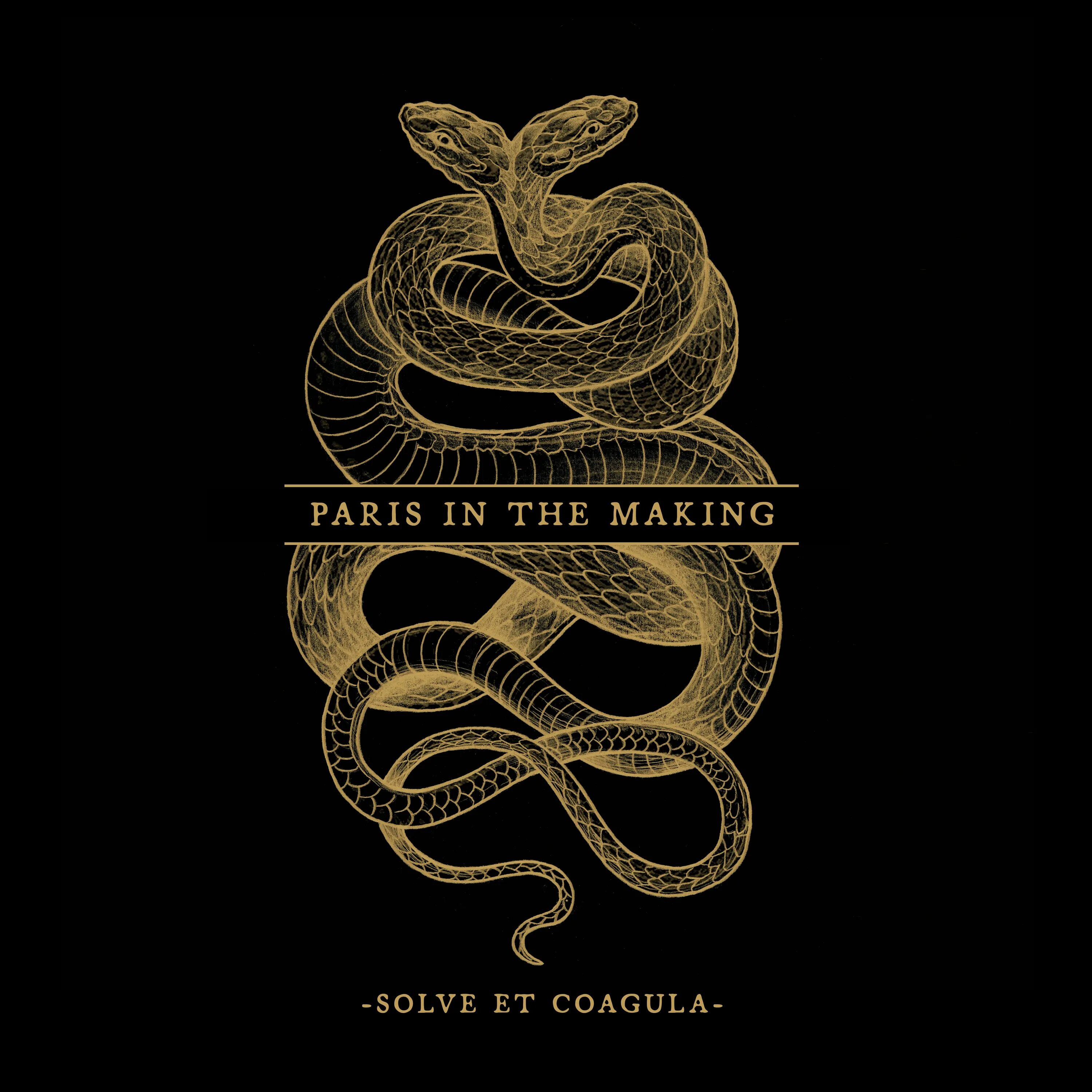 Алхимический девиз «solve et coagula». Кружка оккультная символика. Solve et coagula символ. Solve et coagula бафомет. Solve coagula тату.