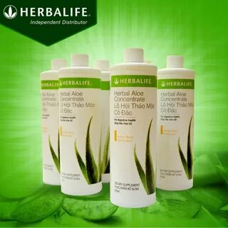 Herbalife nutrition узбекистан