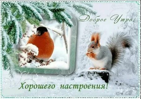 Доброго дня и прекрасного настроения картинки зимние