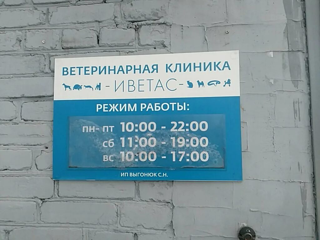 Ветлечебница россошь 9 января график работы Betcobet, ветеринарная клиника, ул. Малкова, 18, Пермь Яндекс Карты