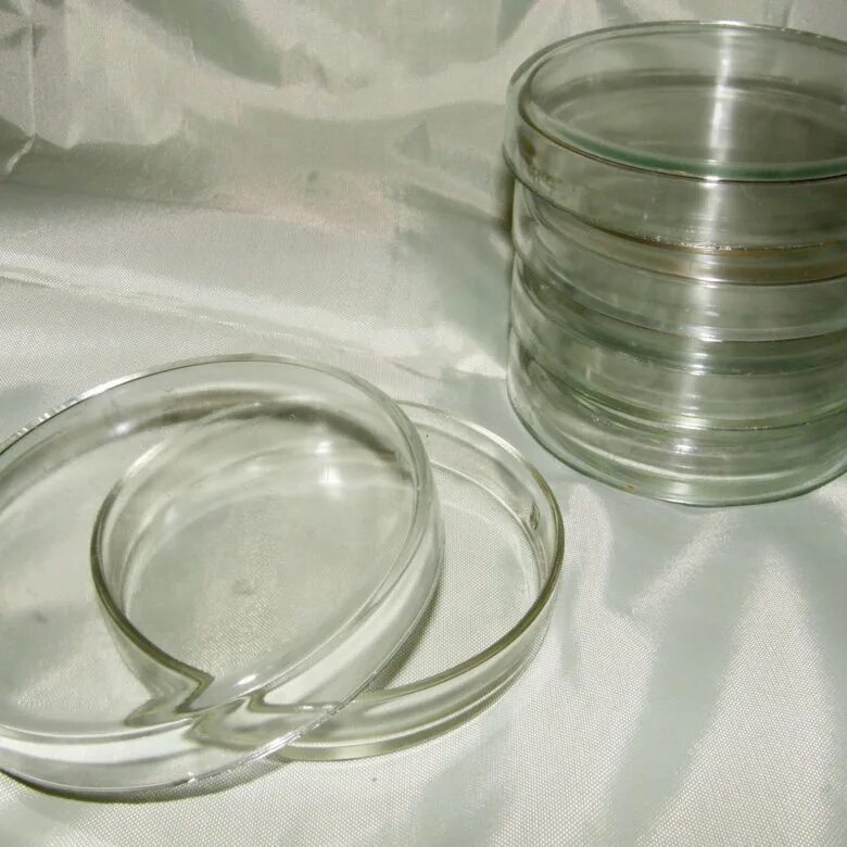 Чашка петри 6. Автоклавирование чашек петри. Чашка петри 6. Чаша петри 90 мм. Чашка петри чбн 1.