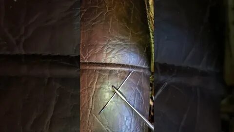 Почему нельзя трогать могильные иглы