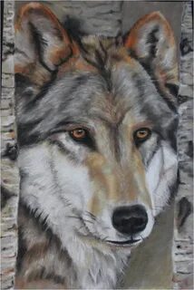 Wolf gallery