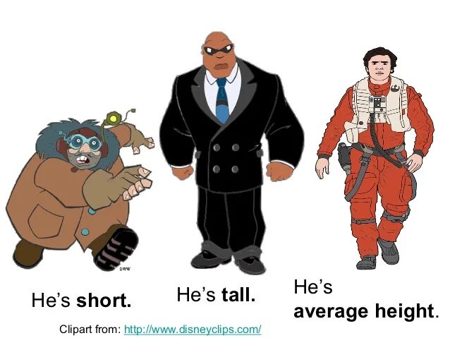 Tall short average height. Short height