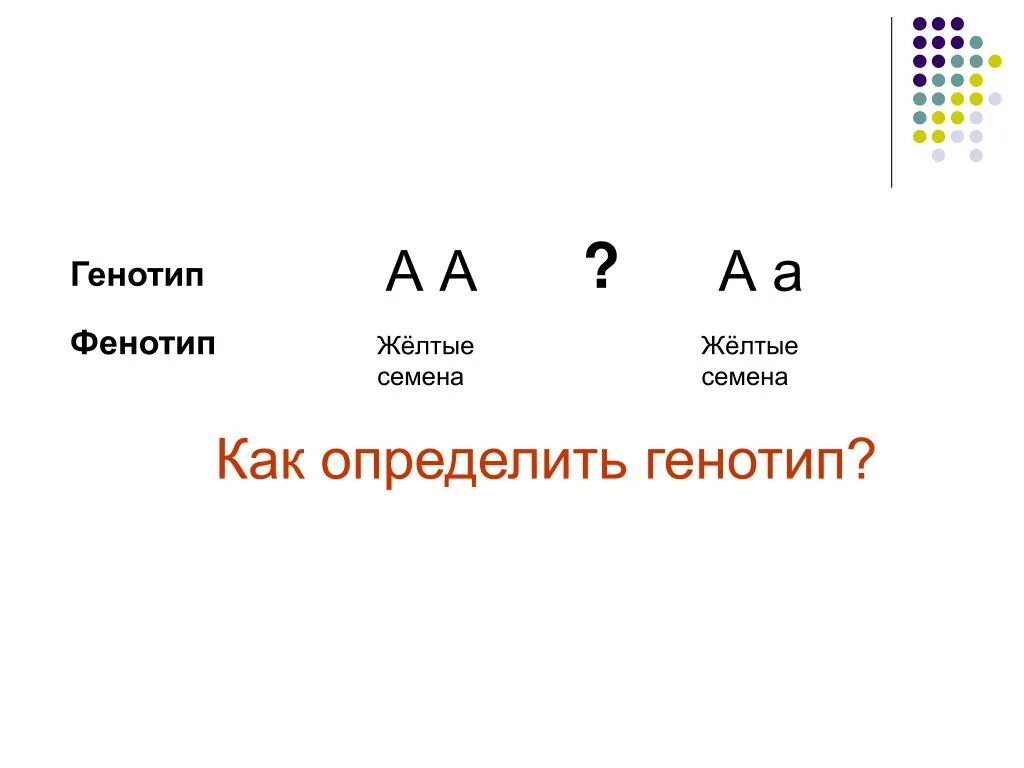 Как определить генотип и фенотип. Как опредеоитьгенотипы. Как определить генотип в задаче. Как определить генотип и фенотип в задачах.