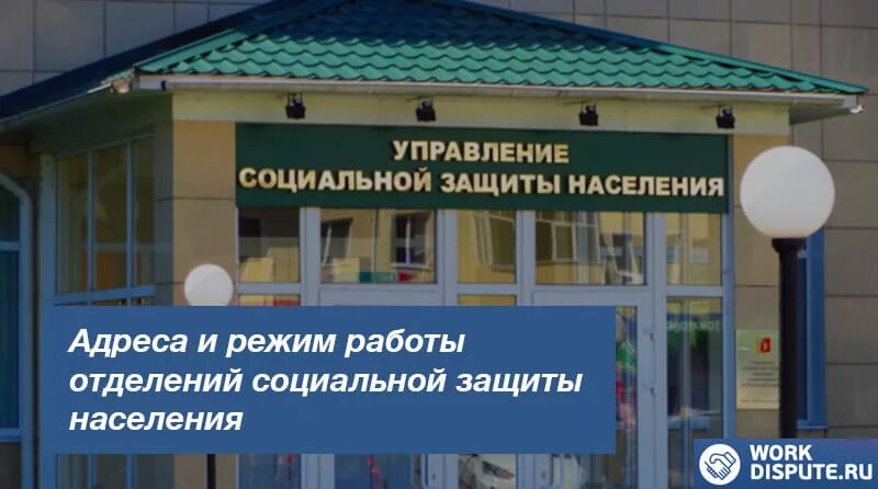 Социальная защита города курска. Социальная защита населения. Отдел социальной защиты населения. Отдел соцзащиты населения. Центр социальной защиты населения города Элиста.