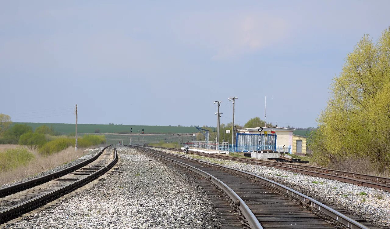 жд станция ларба. главный разъезд. станция бельсу жд станция. главный разъезд. лядоцкий переезд.