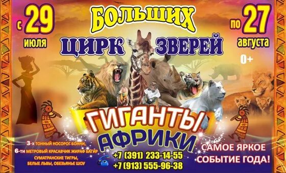 Цирк африка. Цирк больших зверей гиганты африки. цирк гиганты африки афиша. красноярский цирк афиша. цирк афиша 2025.