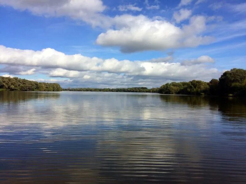 водоемы нижегородской. костюнинские озера в нижегородской области. щучье озеро чистые пруды суроватиха. водоемы нижегородской. водоемы нижегородской.