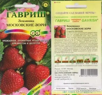 Клубника заря отзывы