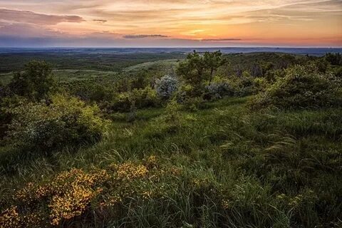 Региональный ландшафт