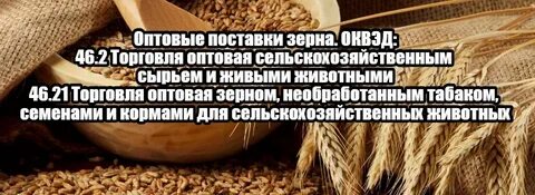 Зерно регистрация