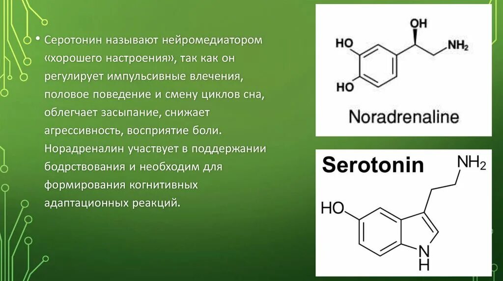Как действует серотонин. Как действует серотонин