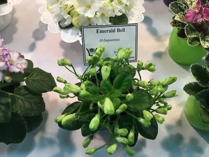 Emerald bell