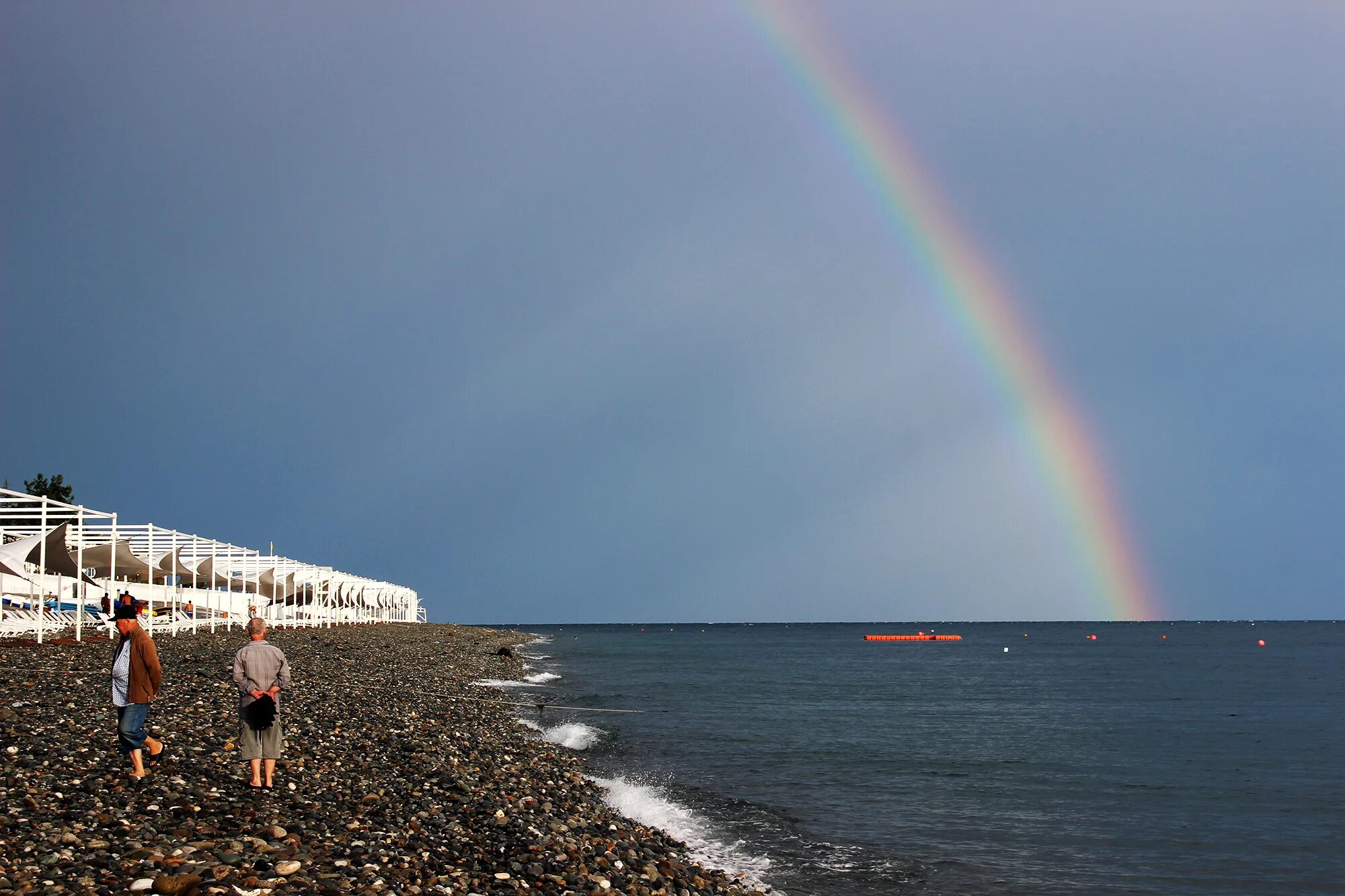 Дожди в адлере июнь 2021. Цунами в сочи 2020. Адлер осадки. Адлер осадки. Затопленные деревья в адлере.