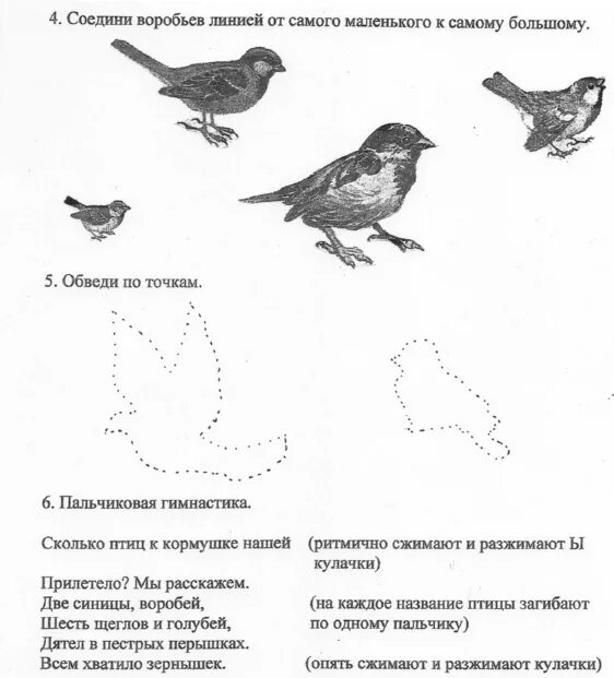 Планирование по теме птицы средняя группа. Домашнее задание логопеда по теме зимующие птицы. Домашние задания логопеда по теме зимующие птицы. Зимующие птицы задания для дошкольников. Задания на тему зимующие птицы для дошкольников.