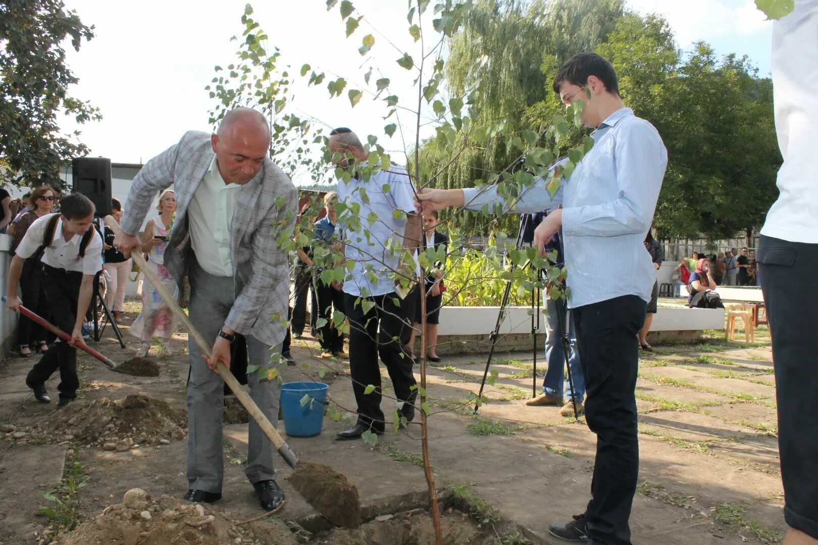 Аллея фото. Аллея медицинских работников. Новая аллея владимира. Заложили аллею. Аллея героев севастополь 5 км.