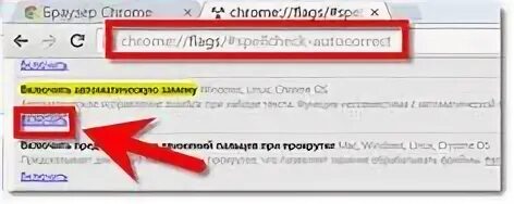 Browser flags