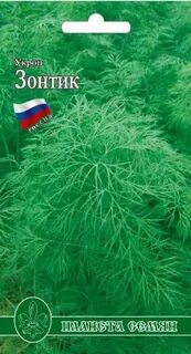 Хороший укроп на зонтики