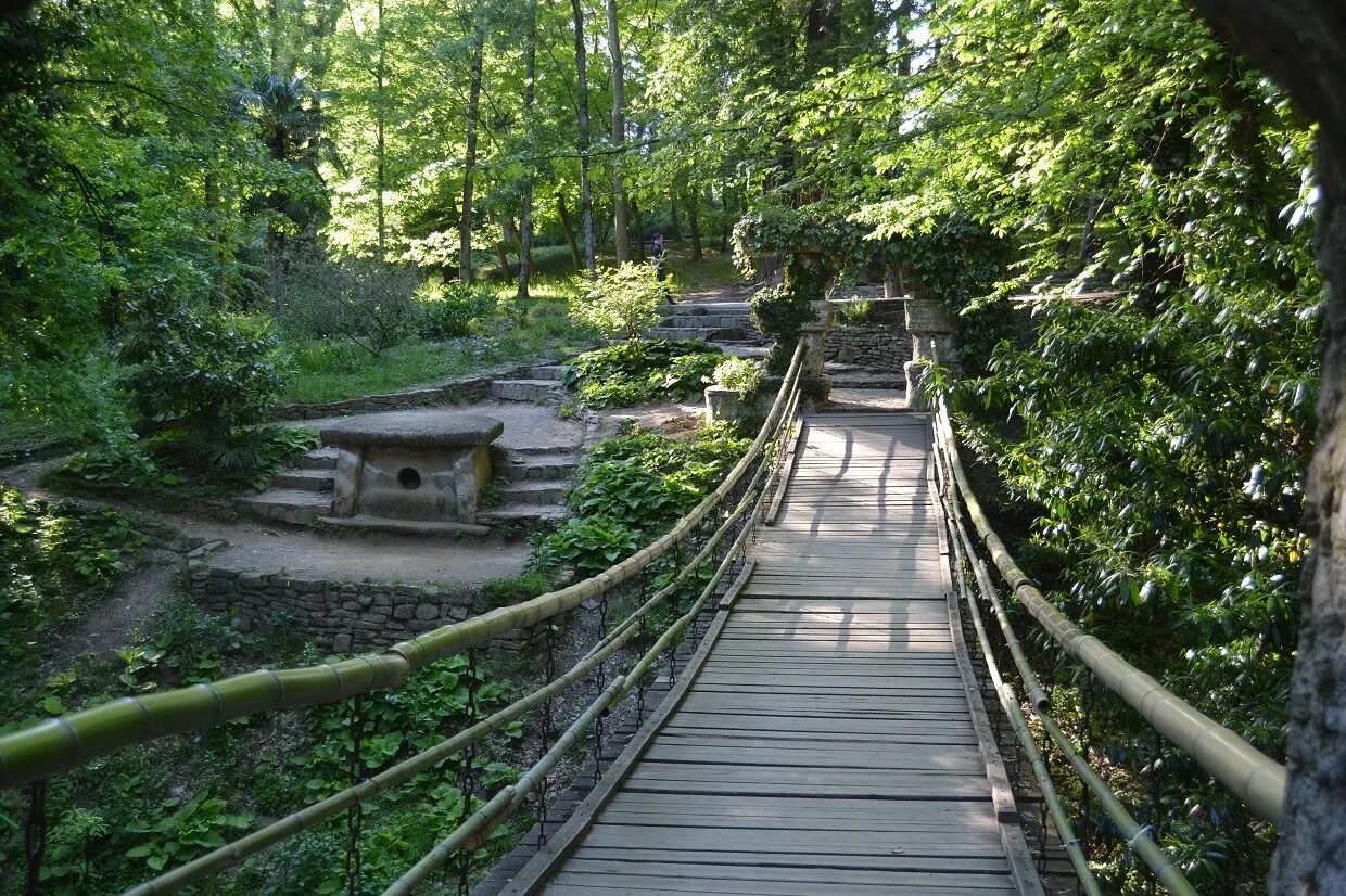 Дендрарий красноярск фото YugNash.ru