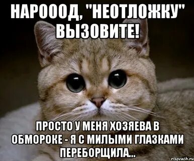Простой вызвать