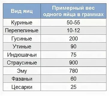 1 яичный белок сколько грамм