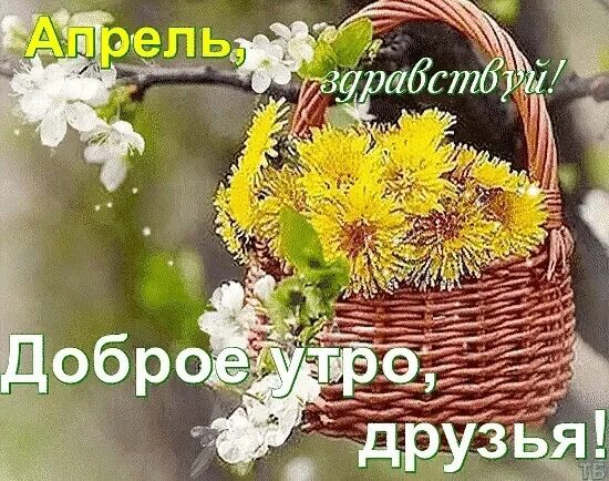 Пусть апрель