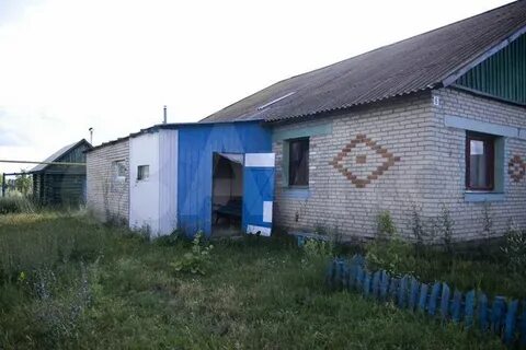 Авито лопатино