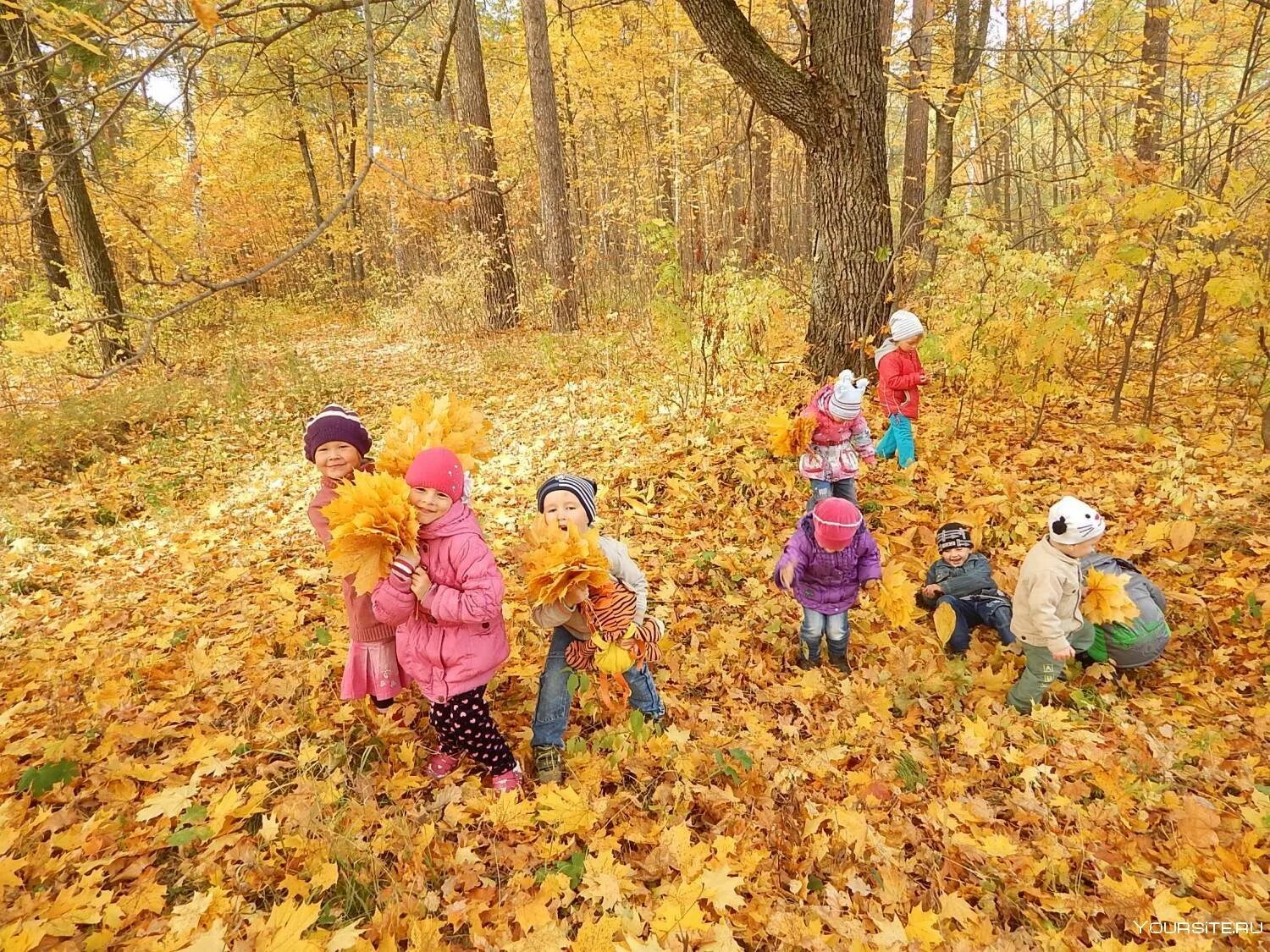 Осенняя прогулка. Осень для детей в детском саду. Осенние забавы. Осенняя природа для детей. Досуг осень