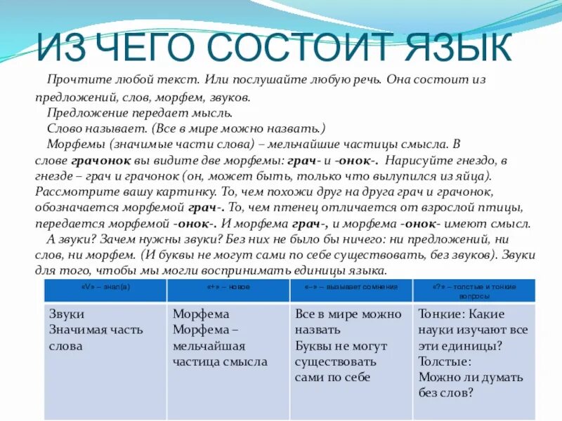 Из чего состоит любой язык. Из чего состоит любой текст. Из чего состоит русский язык. Из чего состоит любой сайт. Любой язык состоит из