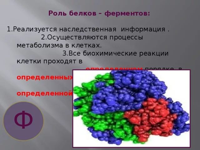 Фермент ускоряющий биохимическую реакцию. У растений весь процесс контролируется специальными ферментами. у животных весь процесс контролируется специальными. регуляторы биомолекулярных процессов таблица. биомолекулярные реакции.