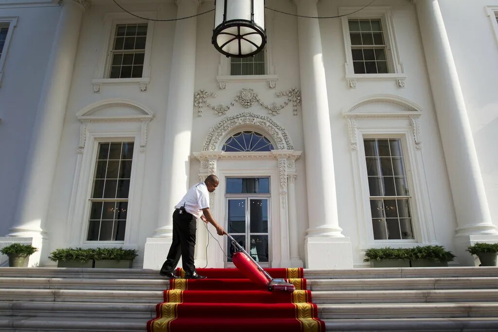 Белый дом девушки. Красивая девушка в интерье. White houses. Юлия белая. Блондинка с котом.
