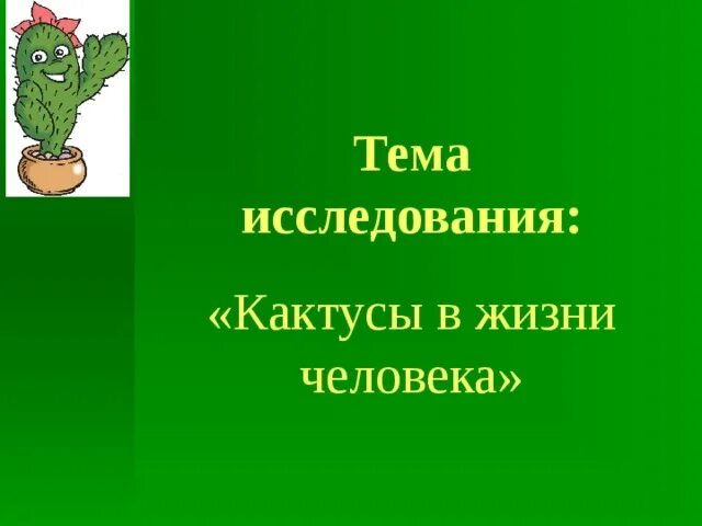 Презентация "Кактусы". - Дошкольное образование - Презентации - Дошкольникам