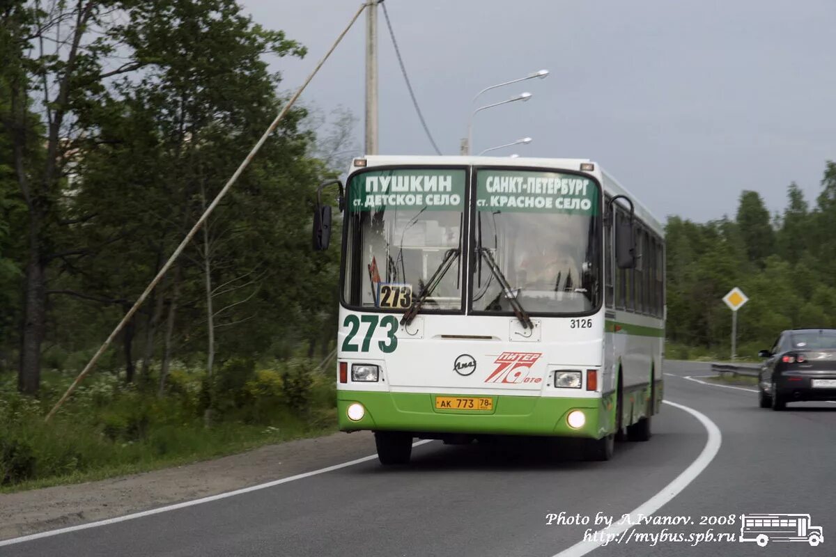 Автобусы пушкин спб маршруты. Автобус 273 СПБ. Автобус 273 Пушкин красное. Маршрут 273 автобуса Пушкин. Автобус 273 красное село Пушкин.