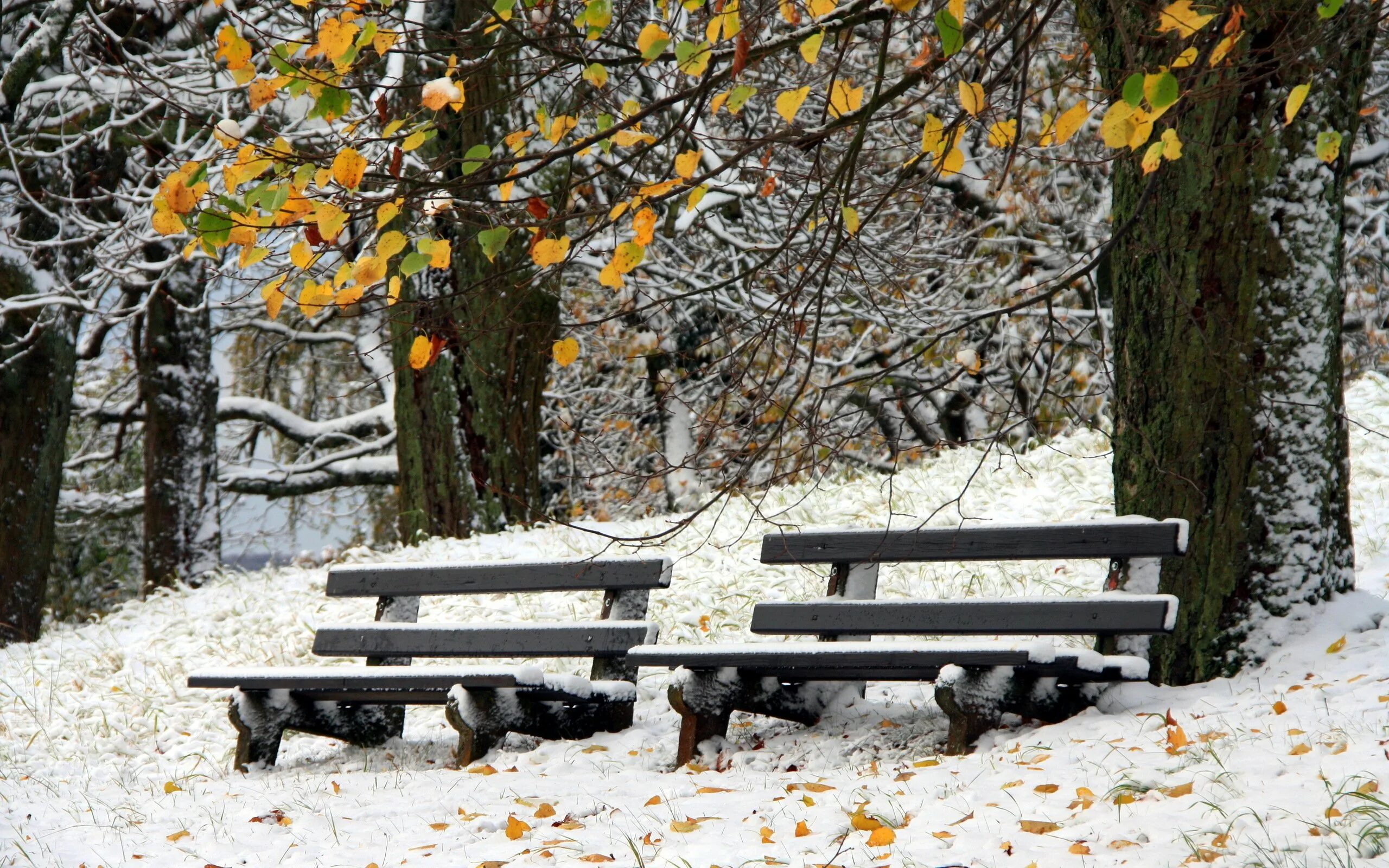 Осень зима парк