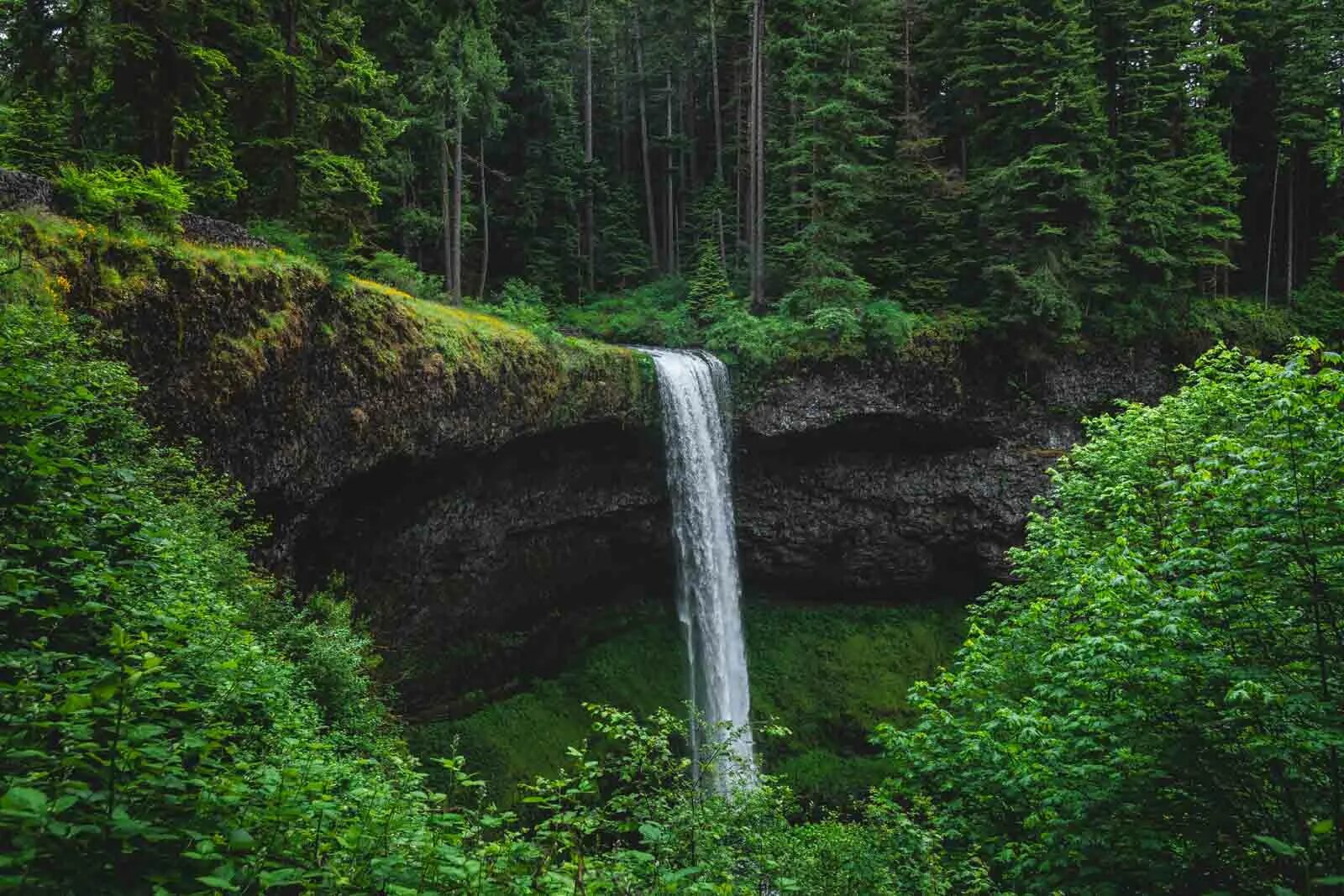 Сильвер Фоллс Орегон. Silver Falls Park Oregon. Silver Falls State Park. Silver Falls нац парк. Falling state