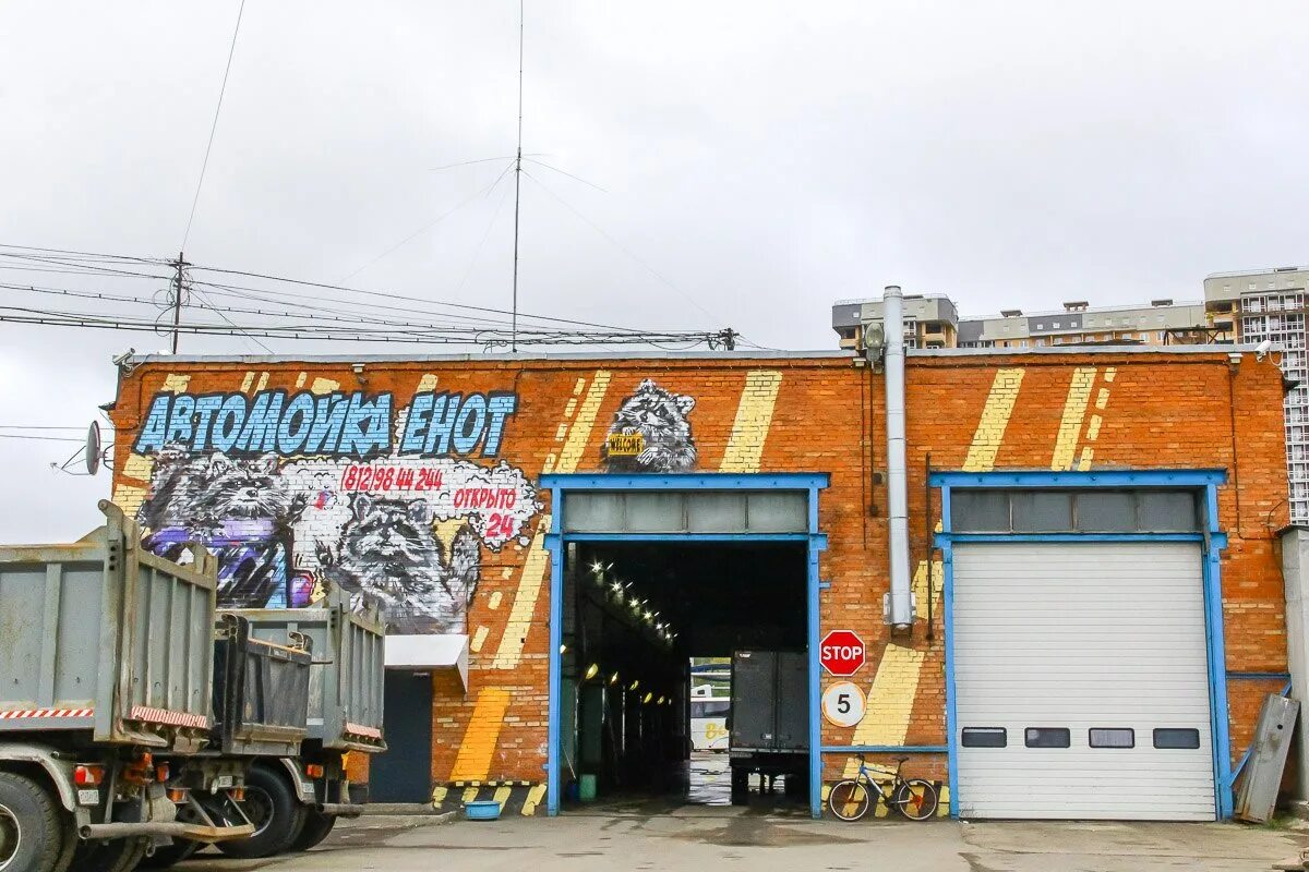 Енот полоскун мойка петрозаводск. Реклама автомойки енот. Мойка енот в митино. Автомойка енот. Енот полоскун мойка петрозаводск.