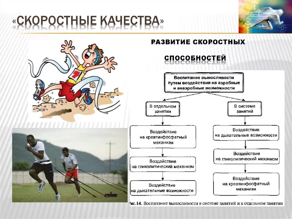 Качества человека доклад. Скоростные качества необходимы схема. Схема скоростных способностей. Развитие скоростных способностей. Формирование скоростных качеств.