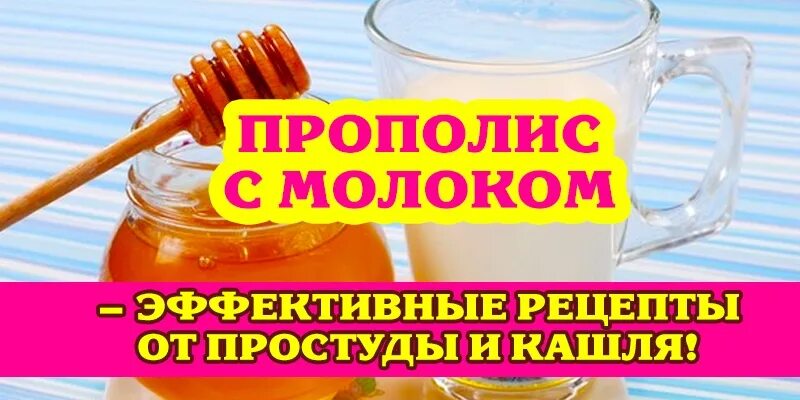 Прополис. Прополис с молоком. Молоко с прополисом от кашля. Средство от кашля на прополисе. Как пить прополис от кашля