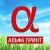 Альфа принт троицкий просп 158 фото Типография Альфа-принт