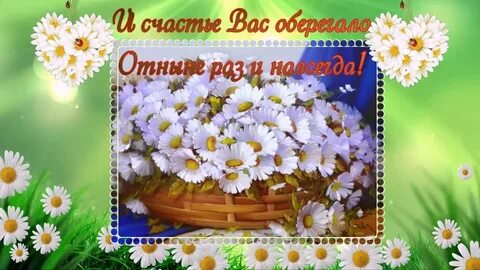 День ромашки поздравления