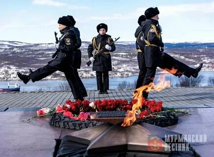 Мурманскстат