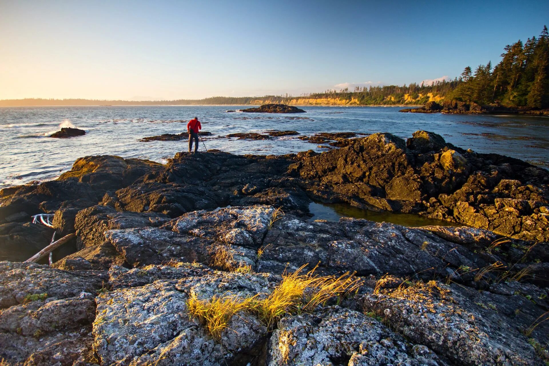 Острова Галф. Британская Колумбия пляжи. Погода остров. Vancouver Island.