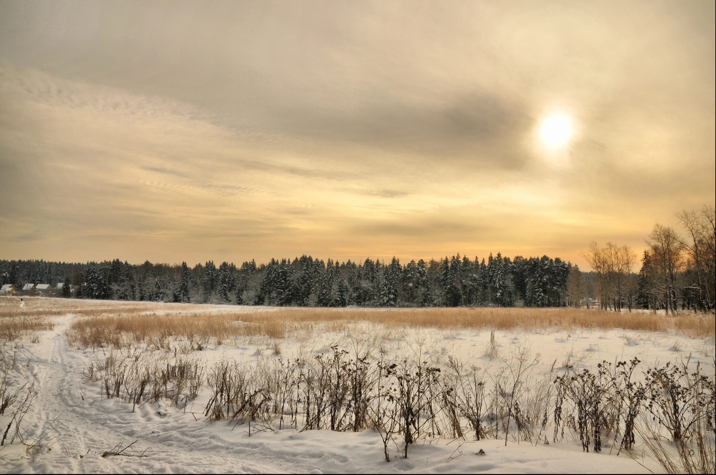 Зимнее поле. Зимнее поле и лес. Русское поле зимой. Снежная равнина. Полный месяц январь