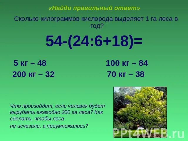 Сколько деревьев в москве. Один гектар леса. Количество кислорода в лесу. Сколько деревьев в лесу на 1 га.